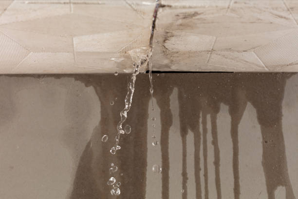 Professional Water Damage Repair technician working in Tilden, IL